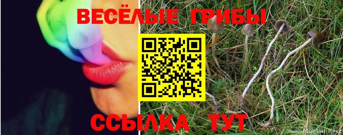 Галлюциногенные грибы мицелий  Вход с VPN  Каменск-Уральский 