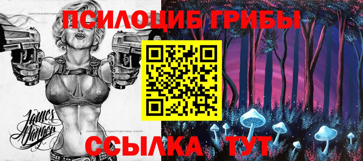 Галлюциногенные грибы Psilocybine cubensis Каменск-Уральский
